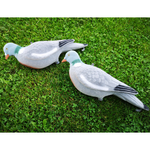 Pigeon decoy 5 pack Fully Flocked