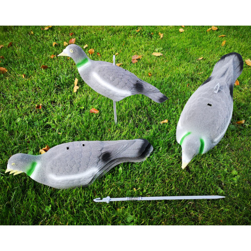 Pigeon decoys shells Flocked 5 pack