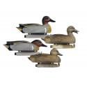 Tanglefree Green Wing Teal