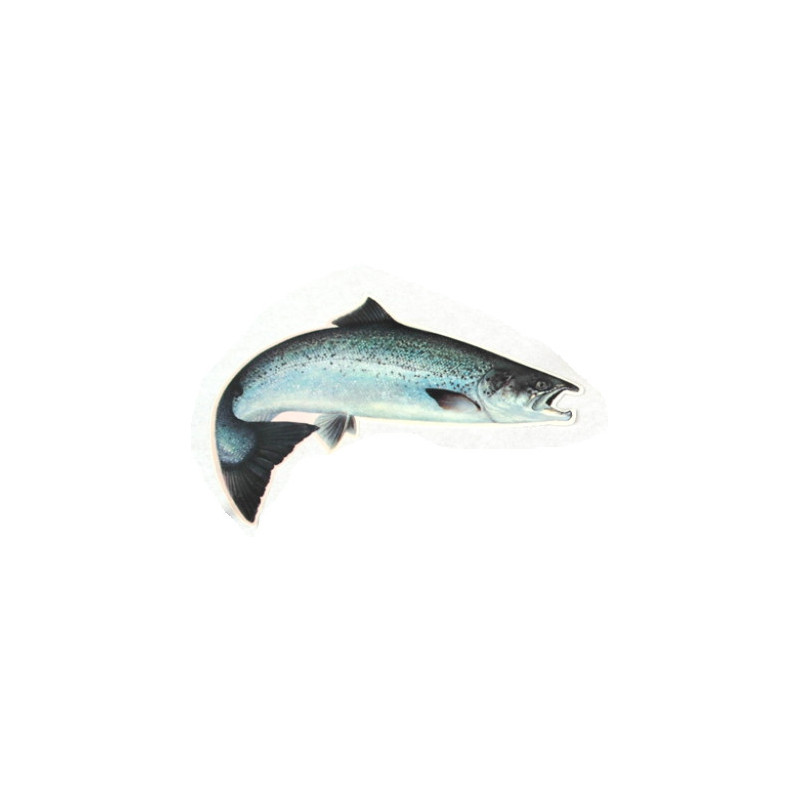 Car Decal Salmon 20,5 cm